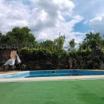 zaya_david_11